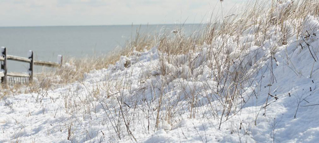 Snow on Avalon, NJ dunes.