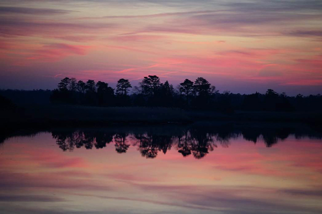 Cedar Swamp Creek at Sunset