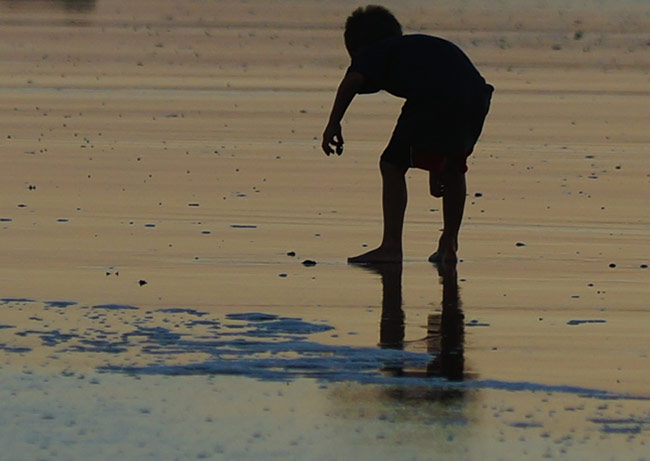 Explore Beach