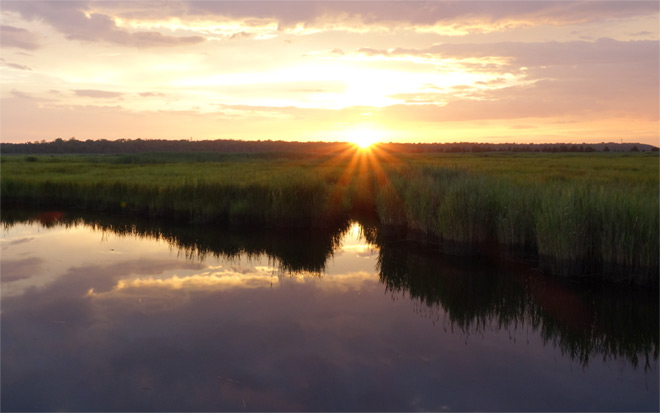 Summer Sunset