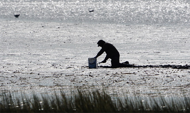 Clammer