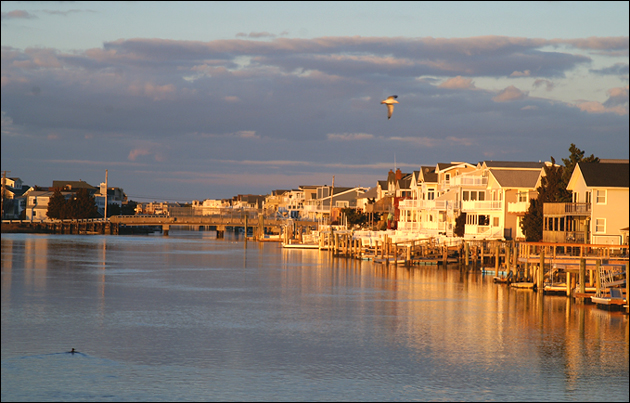 Avalon Bayfront