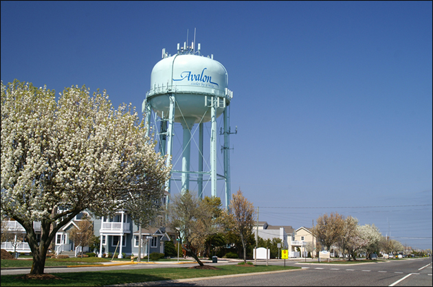 Springtime in Avalon, NJ