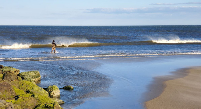 Fishing in the Surf