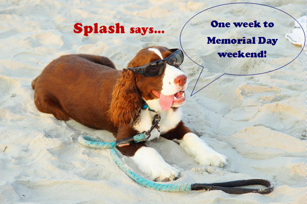 Splash says... One week to Memorial Day!