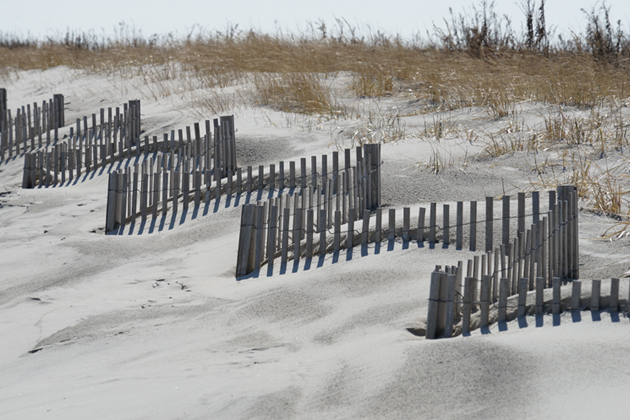 Sand Fences