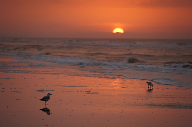 Beach Sunrise