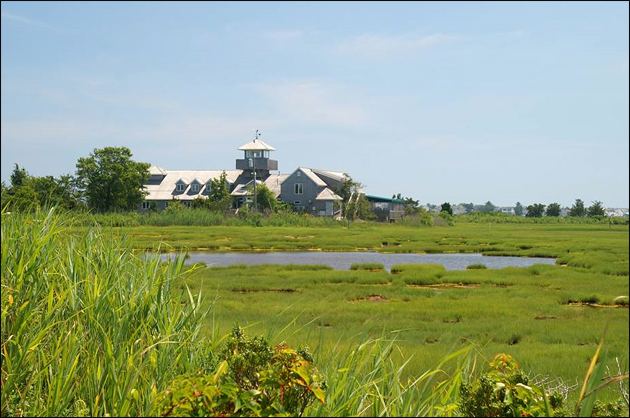 The Wetlands Institute