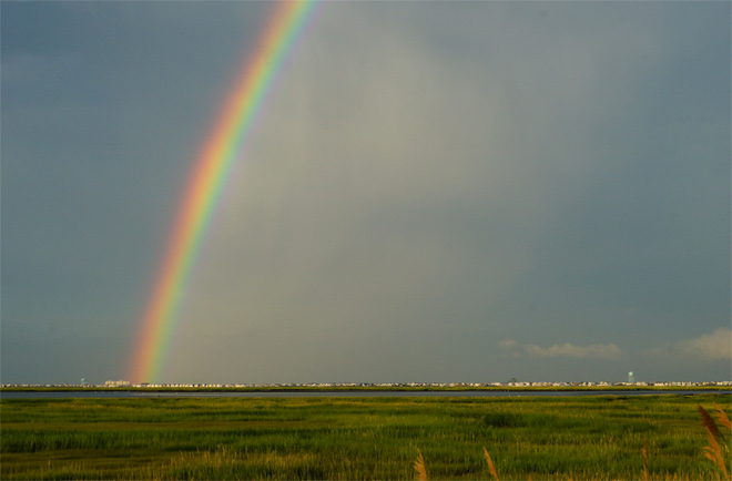 Rainbow over Avalon Blvd.