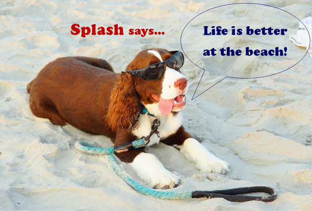 Life is better at the beach!