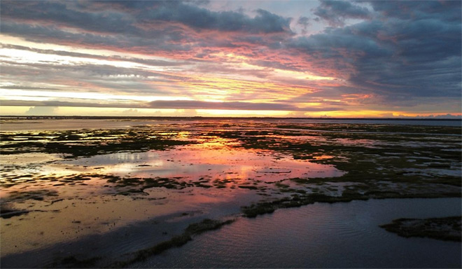 Bay Waters
