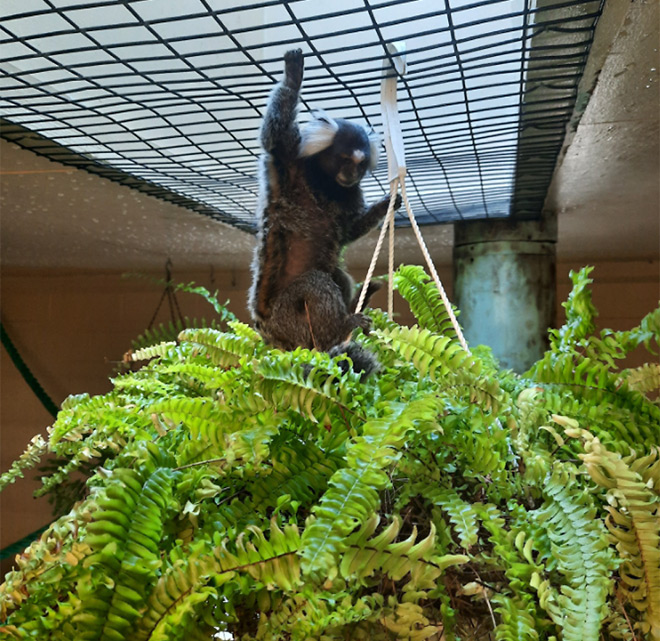 Zoo