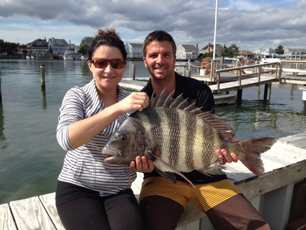 Sheepshead - Stone Harbor, NJ