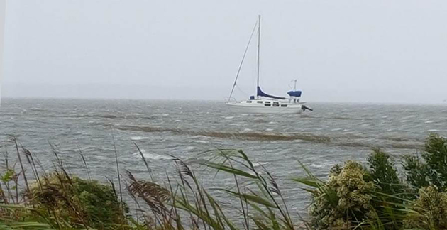 Sailboat in the marsh.