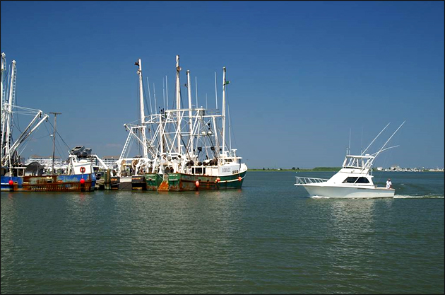 Sport Fishing Yacht - Cape May Harbor