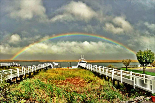 Avalon, NJ Fall Scenery